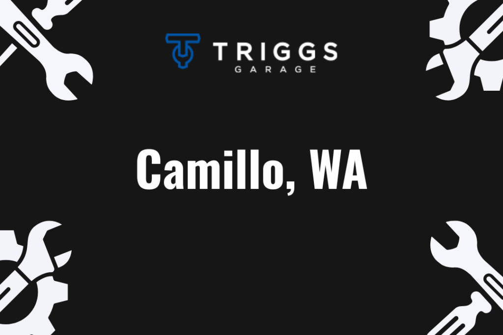 Camillo, WA